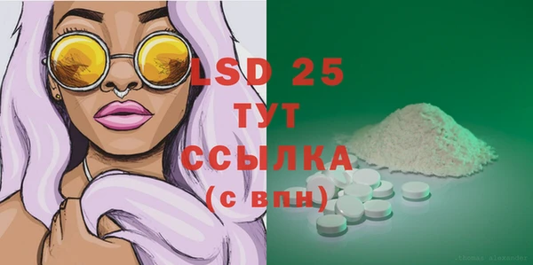 прущие грибы Майский