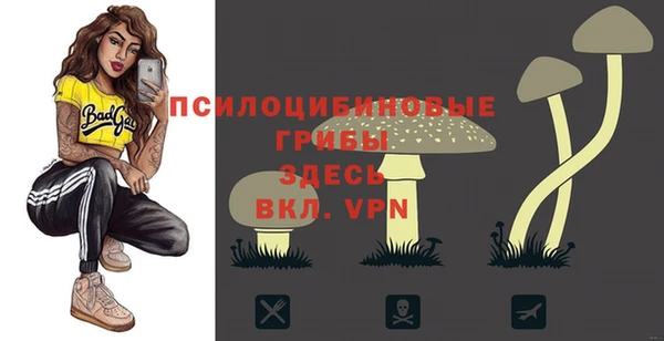 прущие грибы Майский