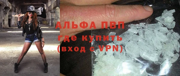 прущие грибы Майский