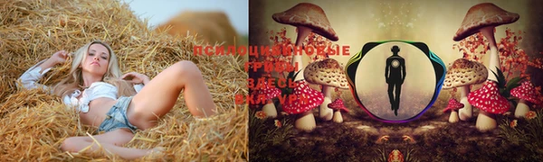 марки lsd Магадан