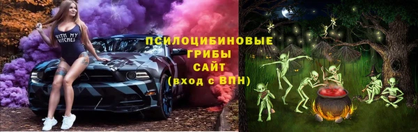 прущие грибы Майский