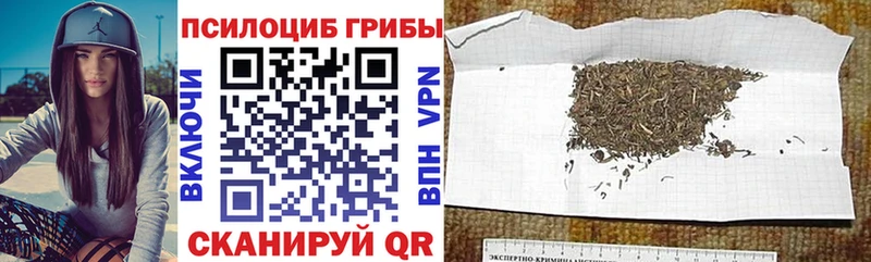 Псилоцибиновые грибы мухоморы Шали